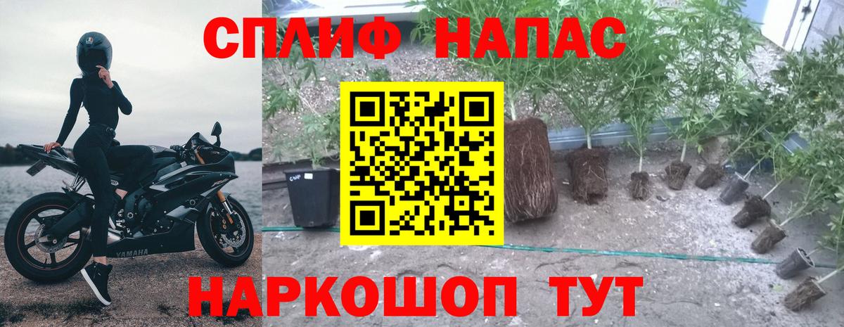 Бошки марихуана OG Kush  Вход с VPN  МАРИХУАНА ГИДРОПОН  Марихуана ГИДРОПОН  Бошки Шишки индика  Куйбышев 